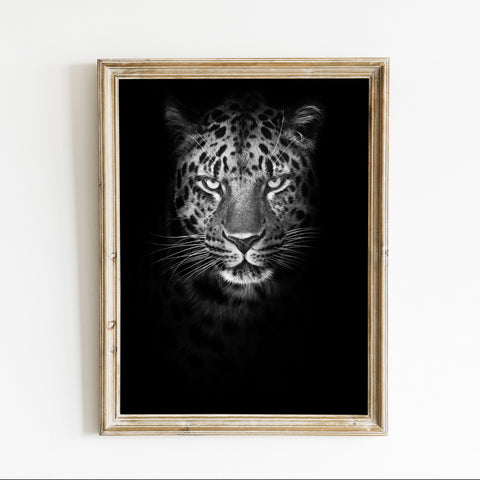 Dramatic Big Cat Decor Art Print
