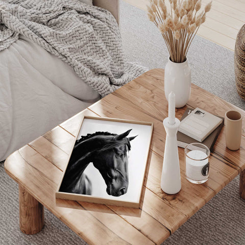 Dramatic black horse mane wall decor