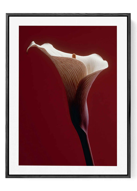 Dramatic botanical wall decor with a bold red and white floral composition.