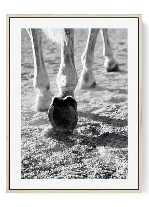 Dramatic horse hoof photography