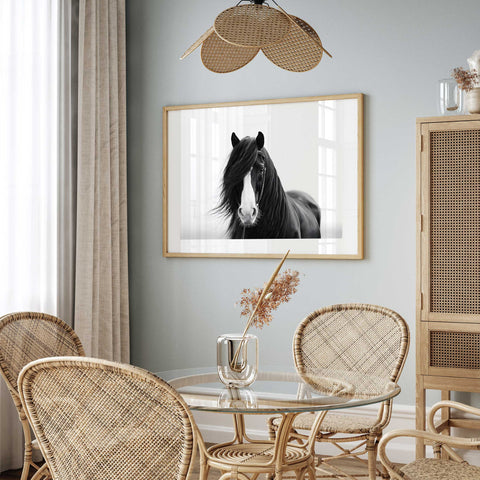 Dramatic horse portrait fine art print