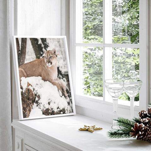Snowy Predator Leopard Canvas Wall Art Poster Animal Theme
