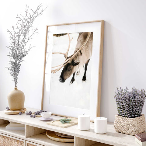 Elegant Wildlife Christmas Gift