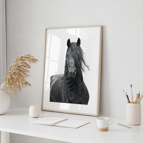 Elegant Black Horse Printable Decor


