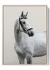 Elegant Dappled Gray Horse in Bridle Digital Print