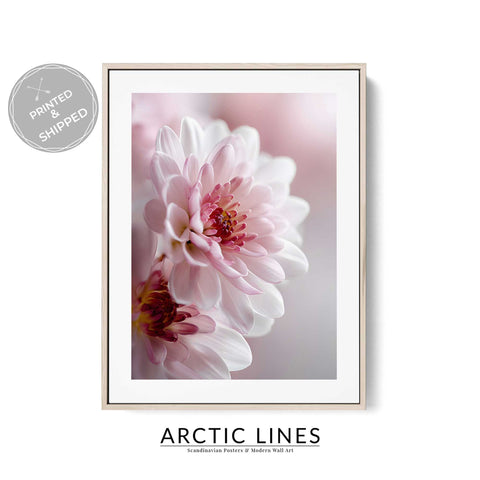 Elegant and calming flower photography poster for a sunlit living room.