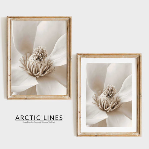 Elegant and calming flower photography poster for a sunlit living room.