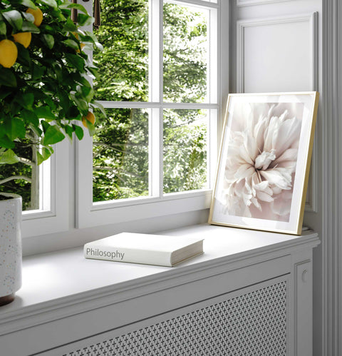Elegant and calming flower photography poster for a sunlit living room.