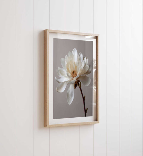 Elegant and calming flower art poster for a sunlit living room or studio.