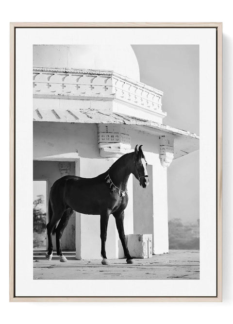 Elegant equestrian architectural artwork