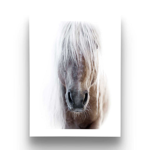 Elegant equestrian bedroom print
