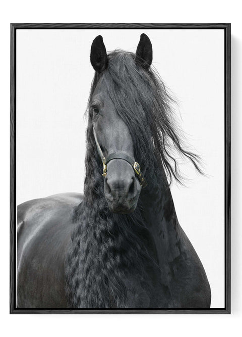 Elegant equestrian black horse print