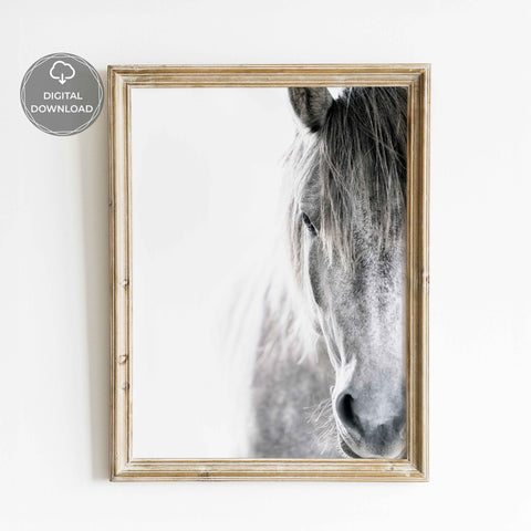 Elegant equestrian wall art print