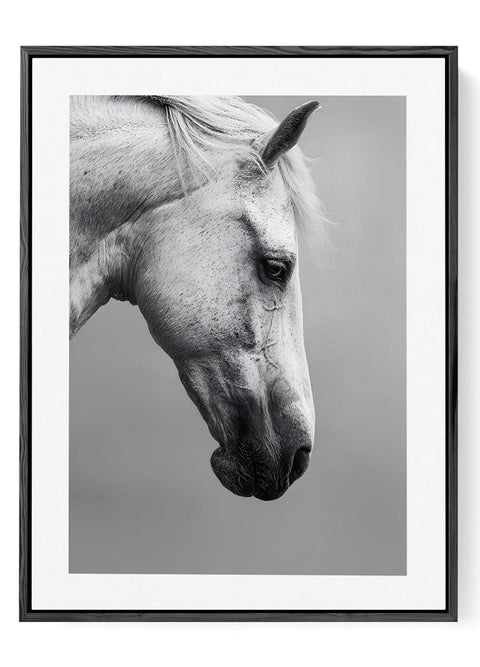 Elegant equine photography wall decor featuring a majestic stallion head.
