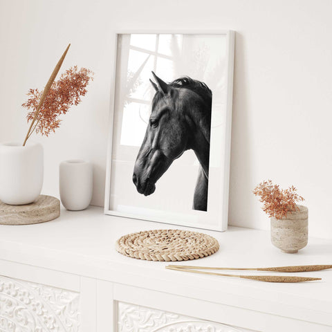 Elegant equine portrait minimalist style