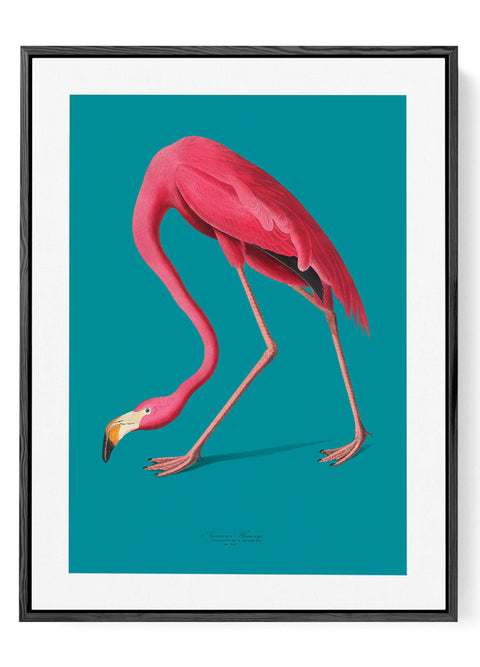 Elegant flamingo wall decor featuring vibrant pink tones on a neutral background.
