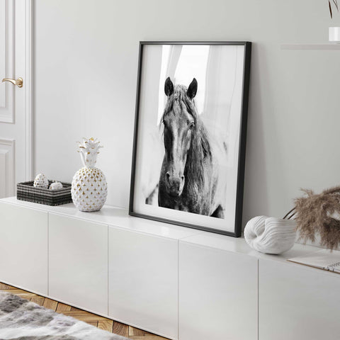Elegant horse lover  decor
