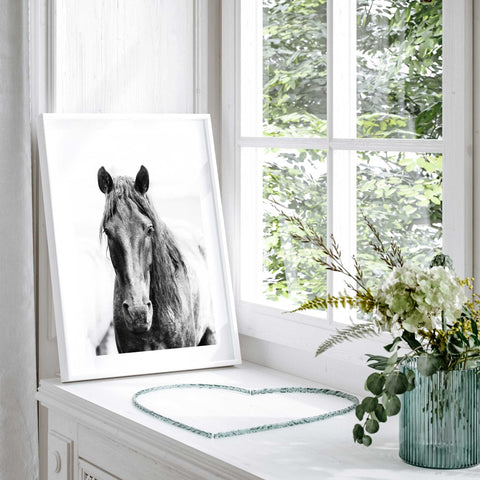 Elegant horse lover wall decor