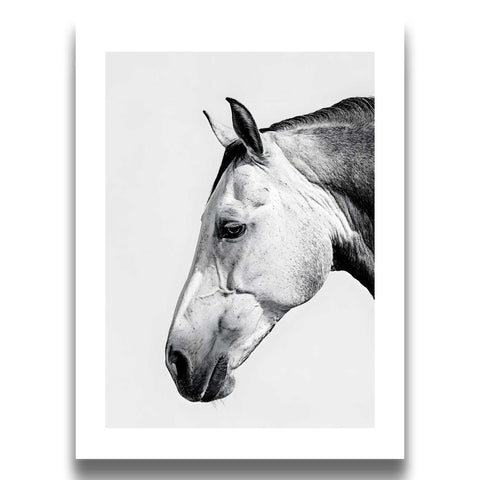Elegant horse profile artwork