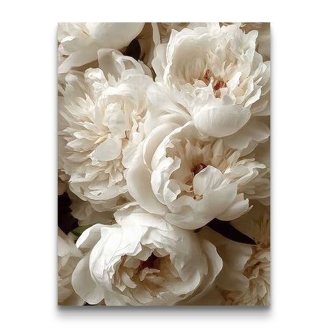Elegant ivory peony botanical print