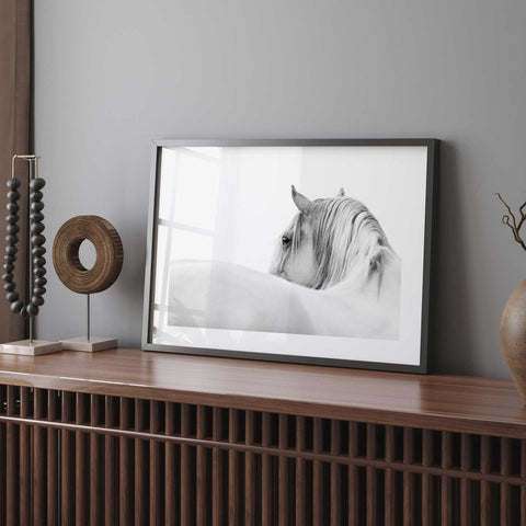 Elegant white horse fine art poster