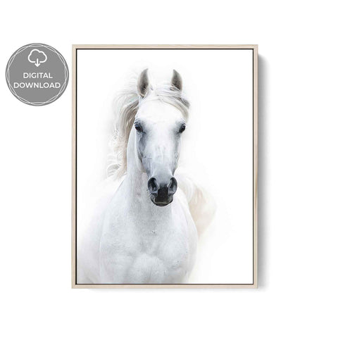 Elegant white horse fine art print for neutral home interiors