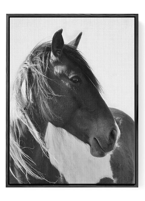 Equestrian Decor Horse Wall Art