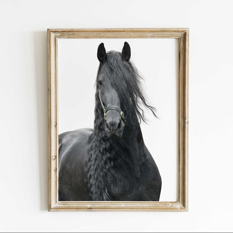 Equestrian Themed Digital Art Download

