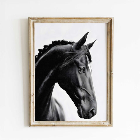 Equestrian friesian horse illustration print