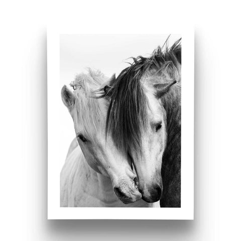 Equestrian home gallery wall print