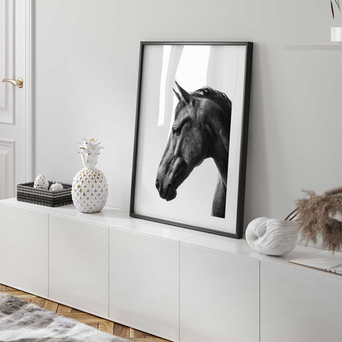 Equine wall art black and white