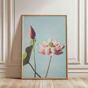 Ethereal pastel blue and pink lotus print for Japandi home styling