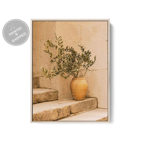 Farmhouse Olive Tree Print