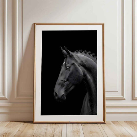 Fine Art Print of a black horse head with elegant braided mane