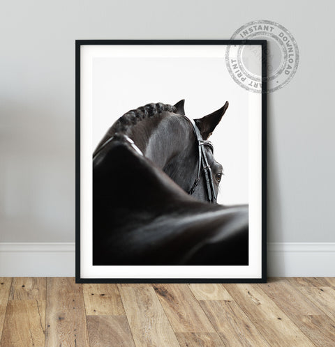 Fine art horse portrait highlighting the horse’s eye and coat