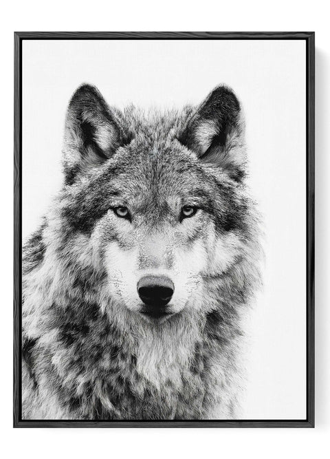 Gray wolf portrait wall art black white