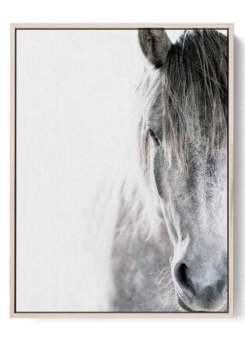 Grey horse black and white wall art