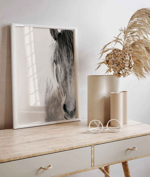 Grey horse portrait photography