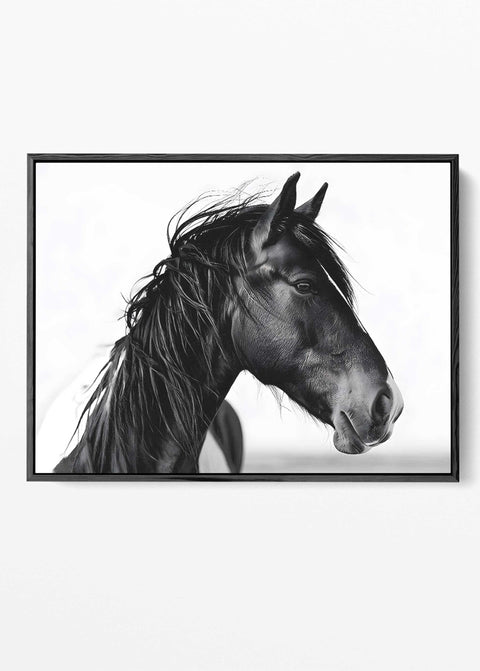 High-contrast black horse portrait art print on a white background.
