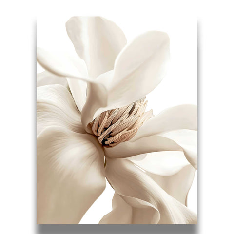 High-quality museum-grade print of a white magnolia in a clean, modern style.