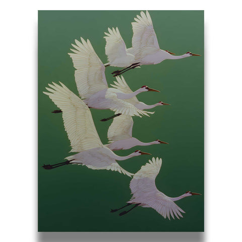 High-quality museum-grade print of a fresh apple harvest.