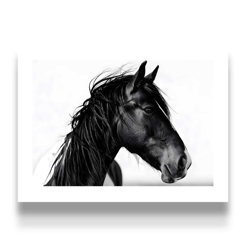 High-quality museum-grade print of a powerful dark horse.