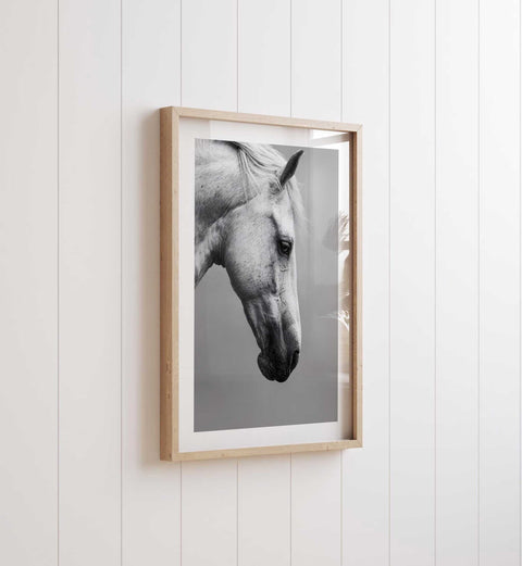 High-quality museum-grade print of a white horse with a flowing mane.