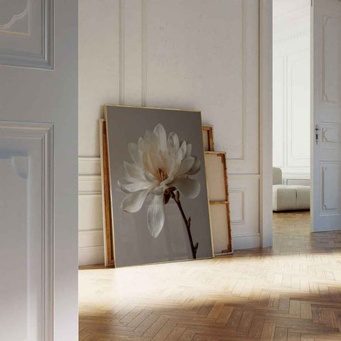 High-quality museum-grade print of a white magnolia in a clean, modern style.