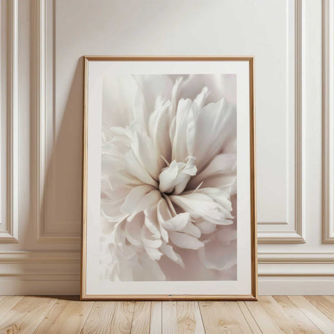 High-quality museum-grade print of a white peony in a modern, clean style.