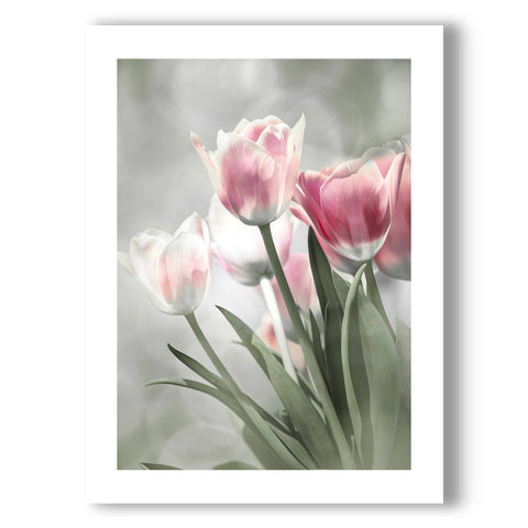 High-quality museum-grade print of pink tulips in a clean, modern style.