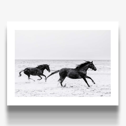 Horizontal horse photography poster