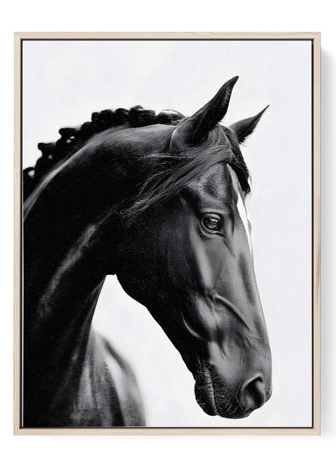 Horse Wall Art Print black friesian portrait