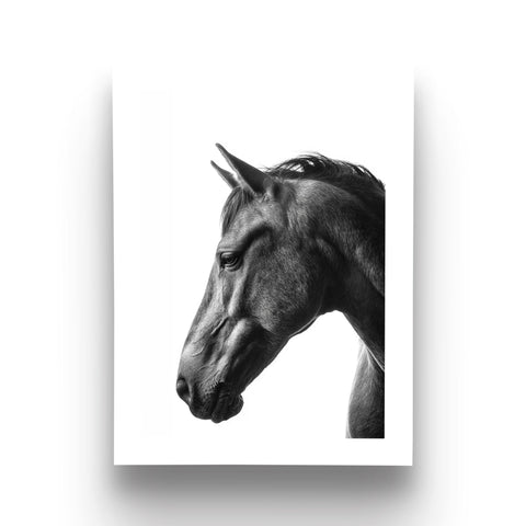 Horse head profile modern wall decor