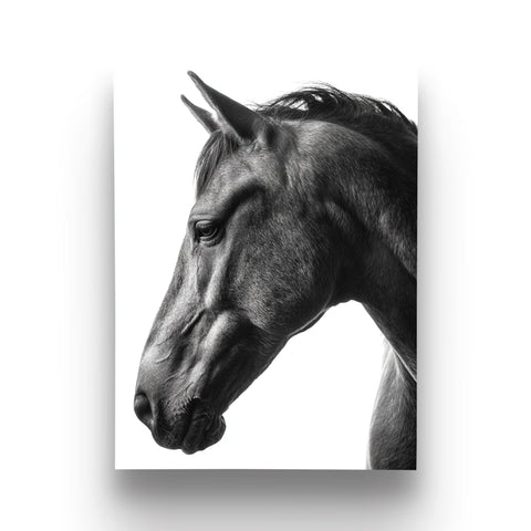 Horse wall art for modern interiors